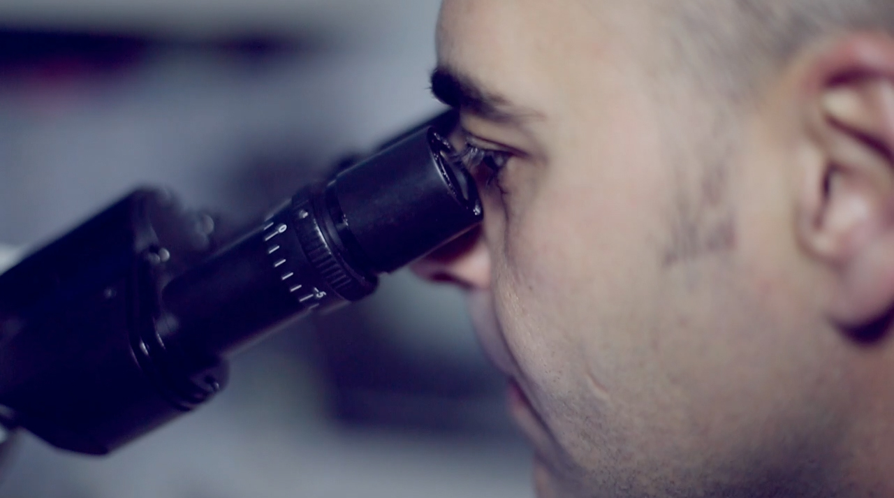 reproduccion-asistida--clinica-veterinaria-la-motilla