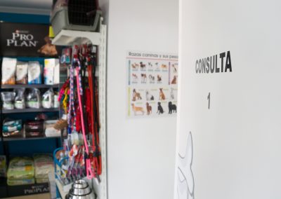 consulta-clinica-veterinaria-la-motilla