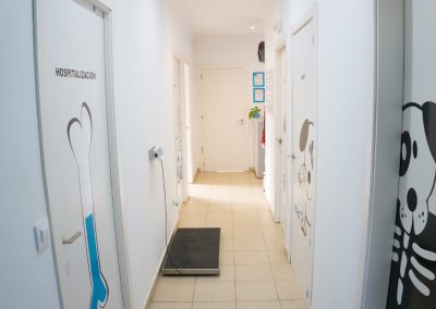 pasillo-clinica-veterinaria-la-motilla