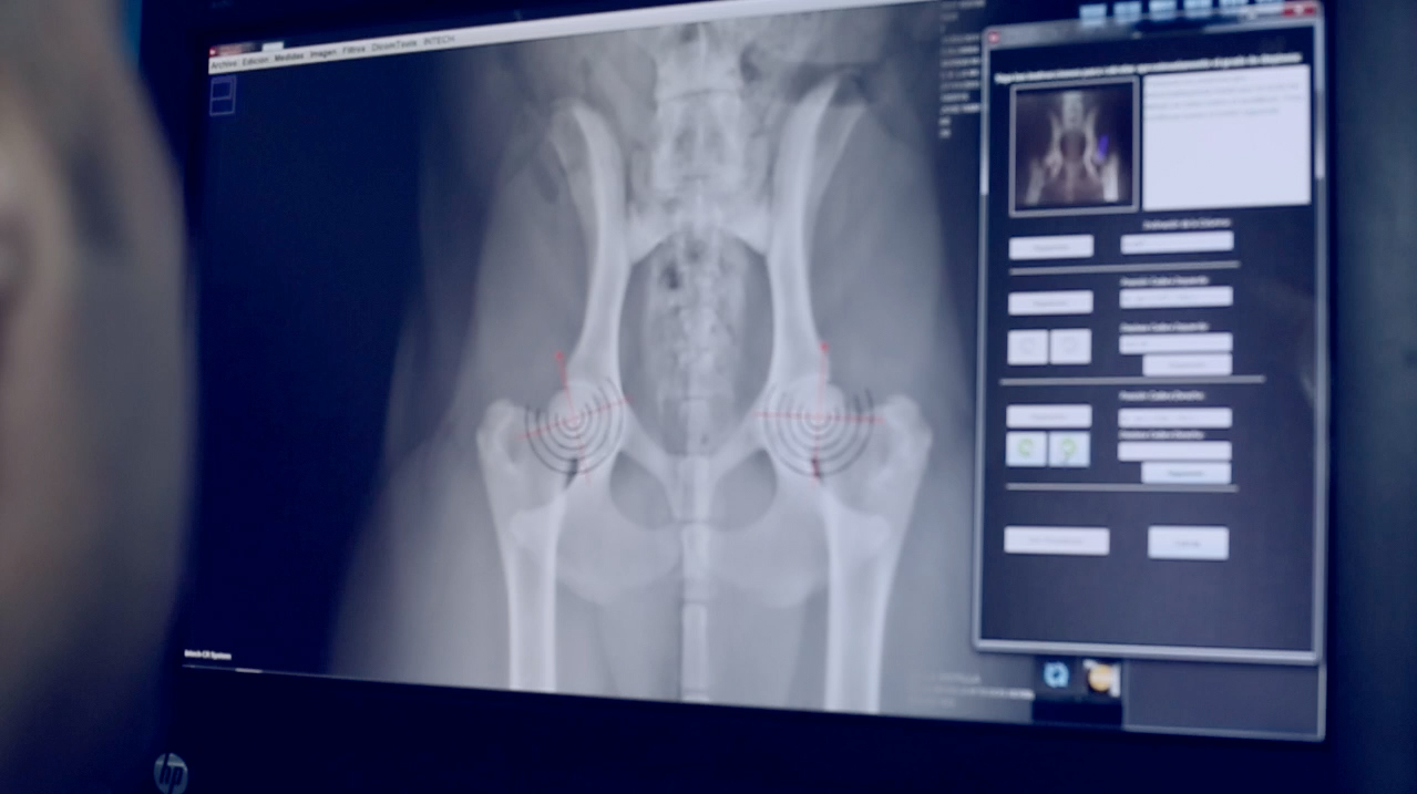 rayos-x-clinica-veterinaria-la-motilla