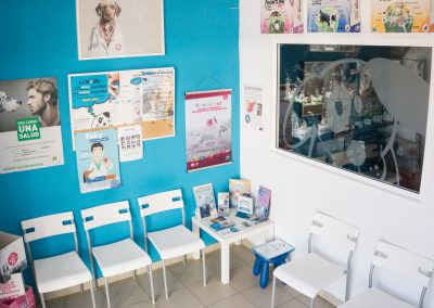sala-de-espera-clinica-veterinaria-la-motilla
