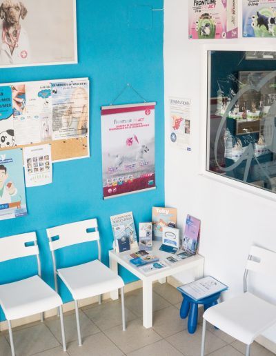sala-de-espera-clinica-veterinaria-la-motilla