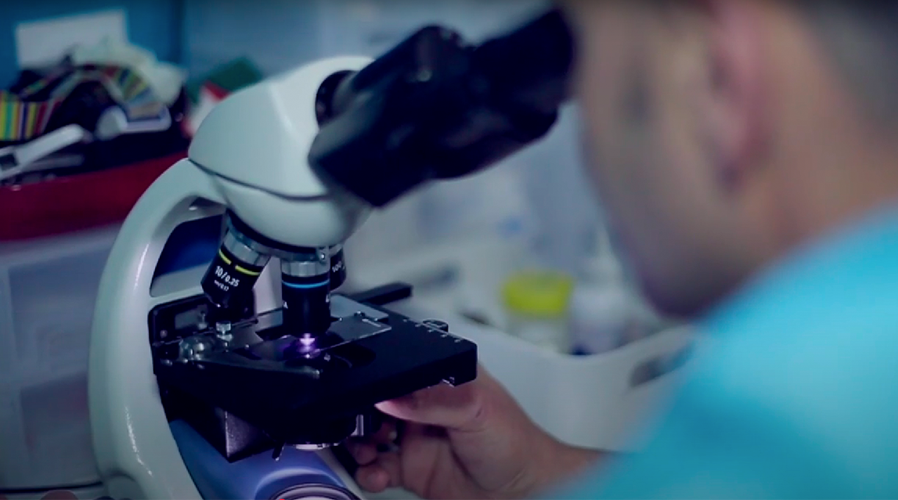 laboratorio-clinica-veterinaria-la-motilla