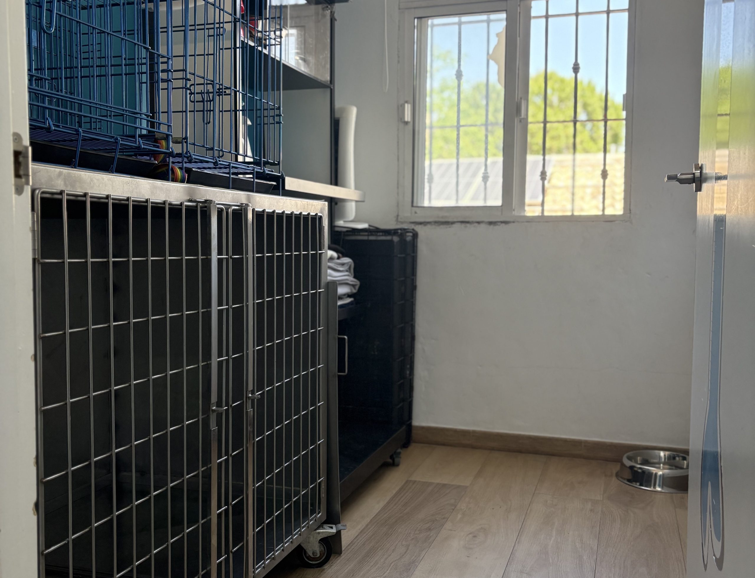 hospitalizacion-clinica-veterinaria-la-motilla